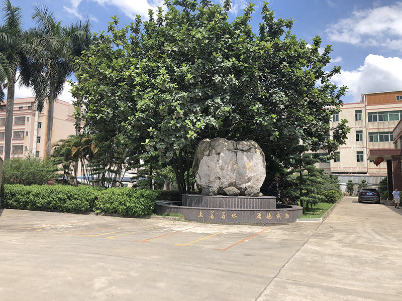 公司环境